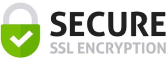 Secure Payment Icon